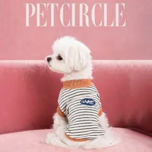 colete para cães e gatos pequenos