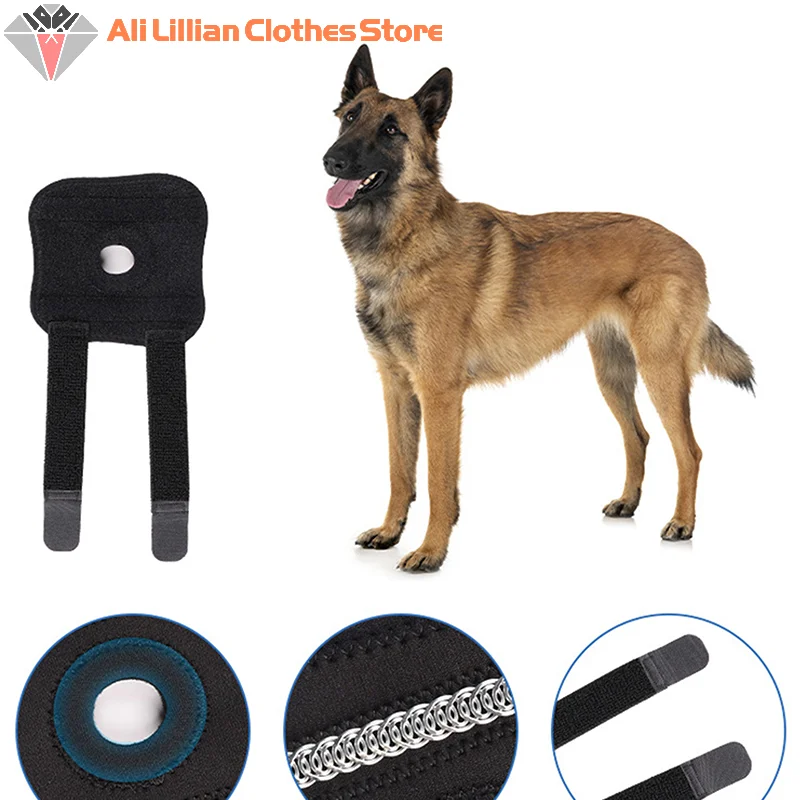 Joelheira para Cães de Neoprene com Adesivos Mágicos Ajustáveis - Image 4