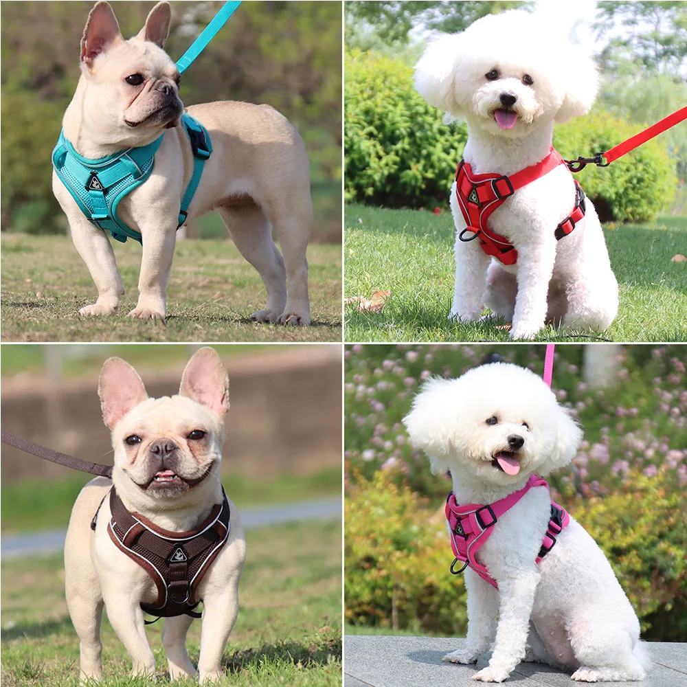 Conjunto de Arnês e Trela para Cães Pequenos de Poliéster Ajustável - Imagem 2