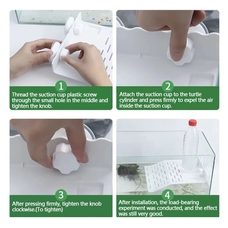 Plataforma para Tartarugas de Acrílico Transparente com Ventosas - Image 6