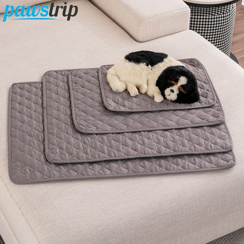 tapete reutilizável para cães