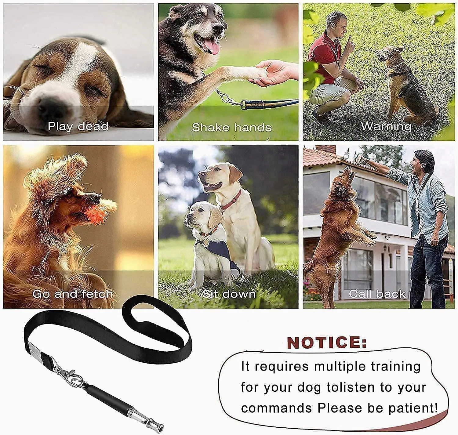 Apito Ultrassônico para Cães de Aço Inoxidável com Cordão - Imagem 6