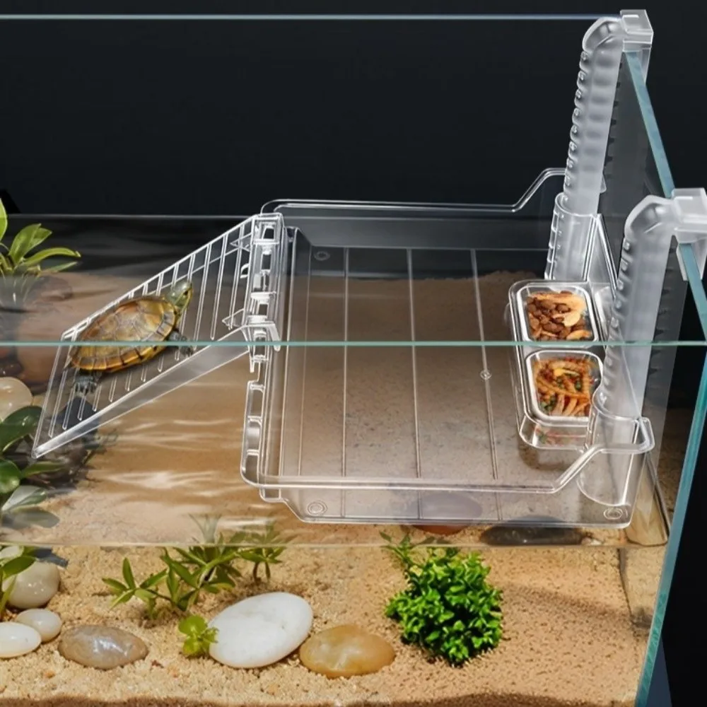 Plataforma para Répteis Aquáticos de Acrílico com Escada - Imagem 4
