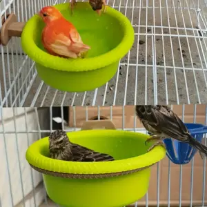 banheira para pássaros com anel de montagem