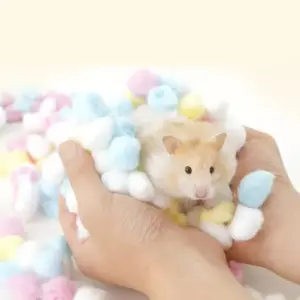 bolas de algodão para hamster