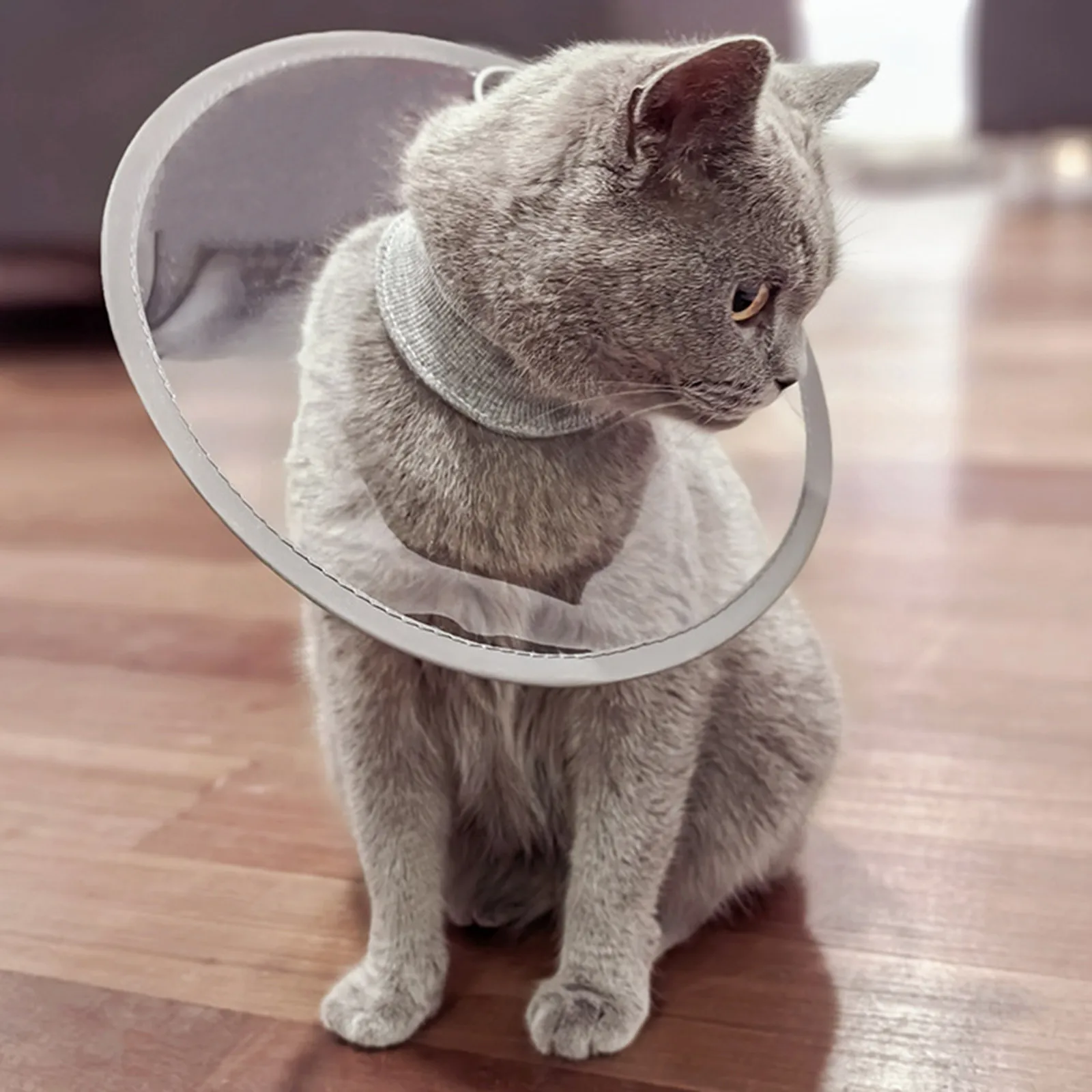 Coleira de Recuperação para Gatos de Seda Ajustável e Leve - Imagem 3