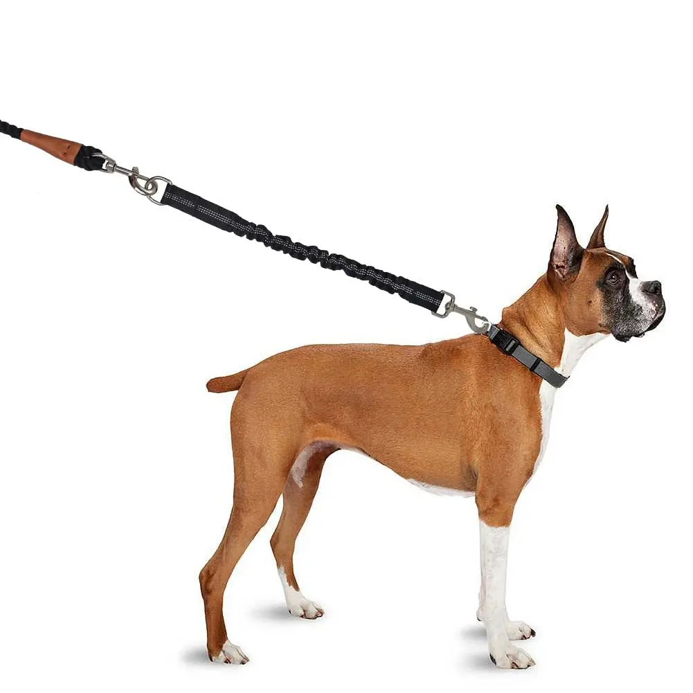 Coleira Bungee para Cães Pequenos com Amortecedor - Imagem 2