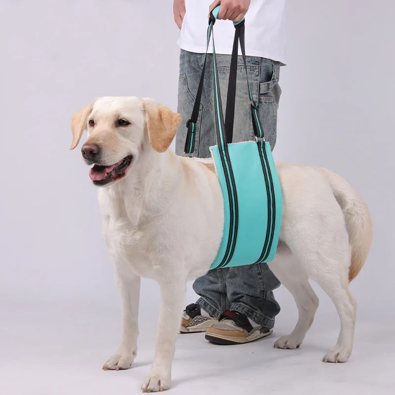 Arnês de Elevação para Cães Ajustável para Mobilidade - Imagem 2