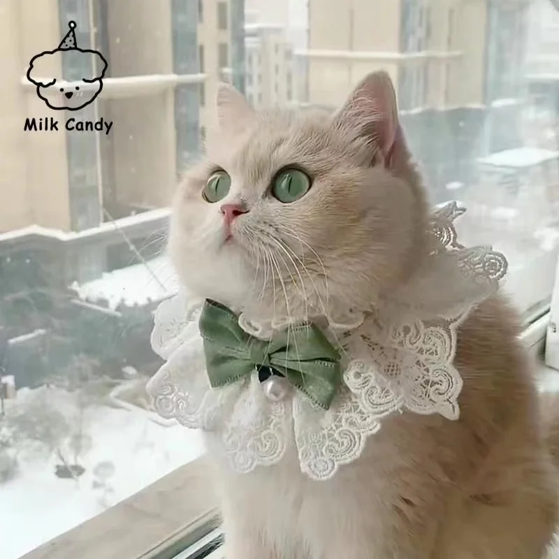 Coleira Babador para Gatos e Cães Pequenos de Renda Floral Ajustável - Imagem 5