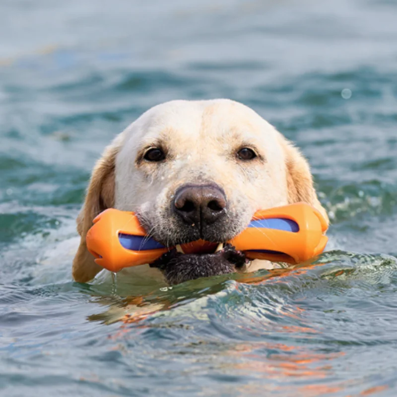 Brinquedo Flutuante Dog Water-Lok Stick para Cães de Borracha Resistente - Imagem 5