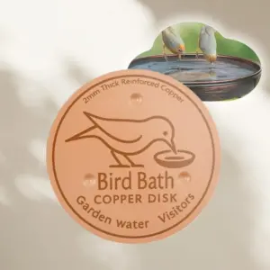 purificador de cobre para bebedouro de pássaros