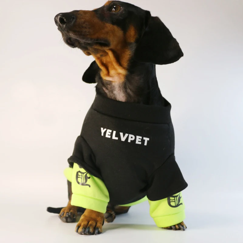 roupa de lã para cães
