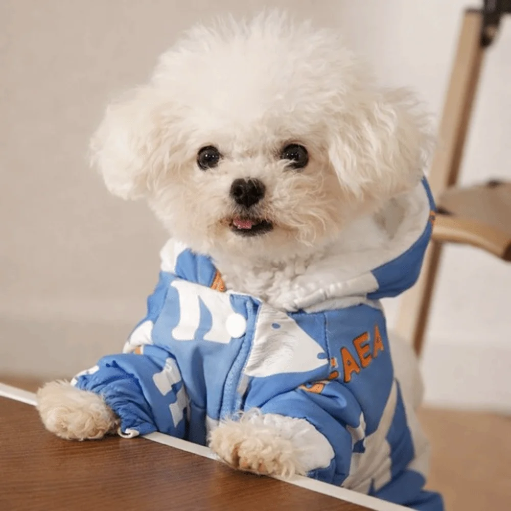 Roupa para Cães de Poliéster Forrada a Lã para Inverno - Imagem 5