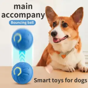 bola interativa para cães e gatos