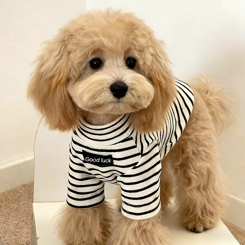 Camisa Térmica para Cães Pequenos de Outono e Inverno Listrada - Imagem 2