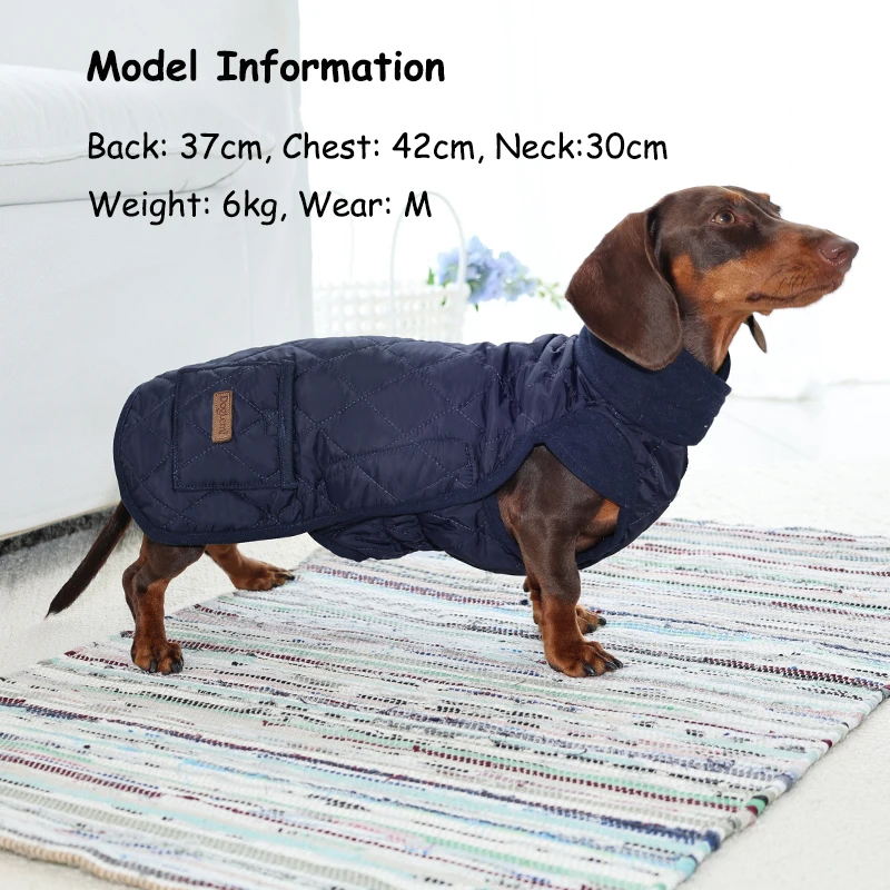 Jaqueta para Cães Dachshund Acolchoada Repelente à Água - Imagem 4