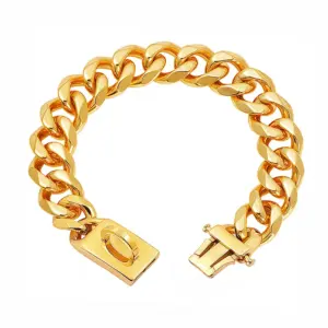 coleira choker para cães