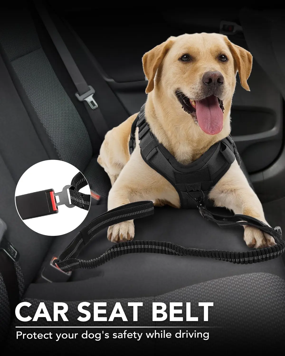 Trela Tática para Cães com Absorção de Choque e 2 Alças - Imagem 5