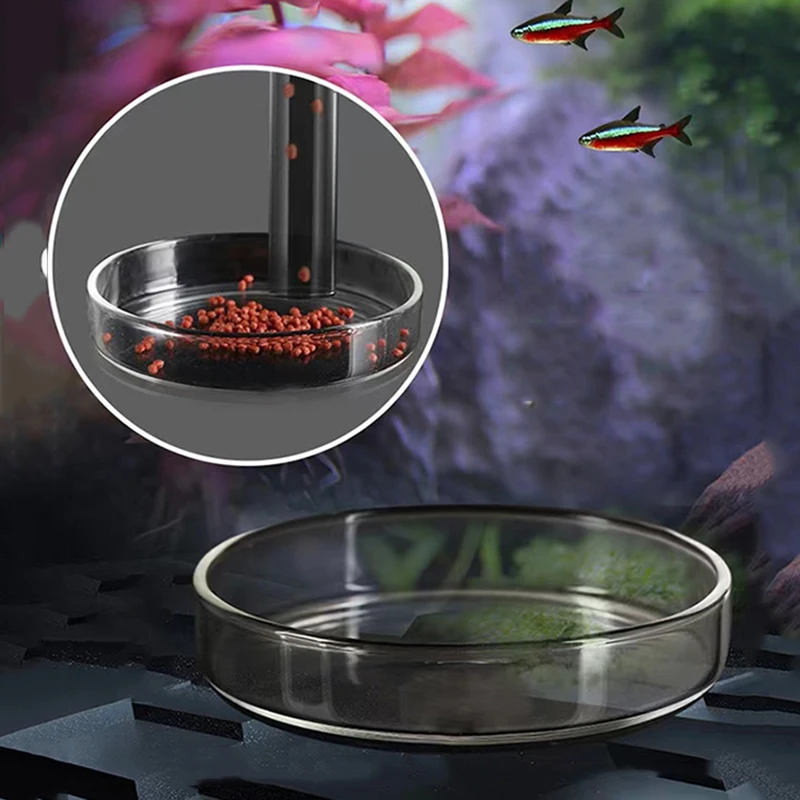 Tubo Alimentador de Vidro para Aquário Transparente com Ventosa - Imagem 5