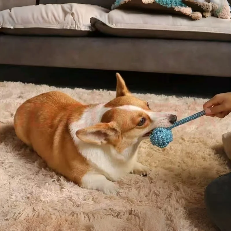 Brinquedo de Mastigar para Cães em Corda Trançada de Alta Resistência - Imagem 5