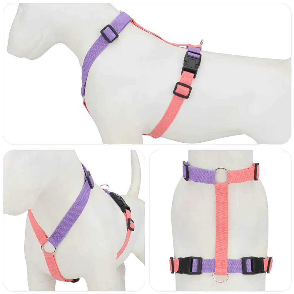 Conjunto de Arnês para Cães Ajustável com Trava de Segurança - Imagem 4