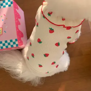 roupa de morango para cães e gatos pequenos