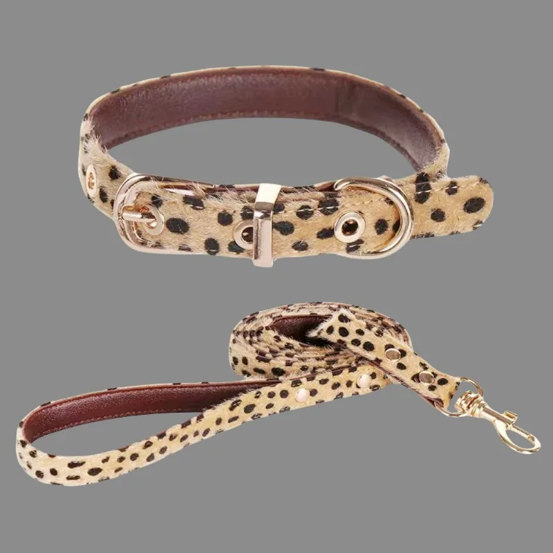 Coleira para Cães Pequenos Estampa Leopardo Ajustável - Image 2