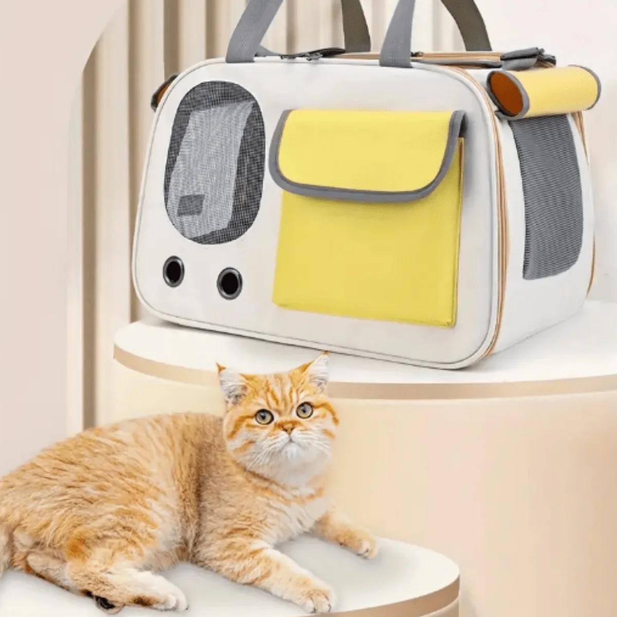 Bolsa de Transporte para Cães e Gatos Pequenos de Oxford até 6 kg - Imagem 3