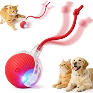 brinquedo bola rolante para gatos recarregável