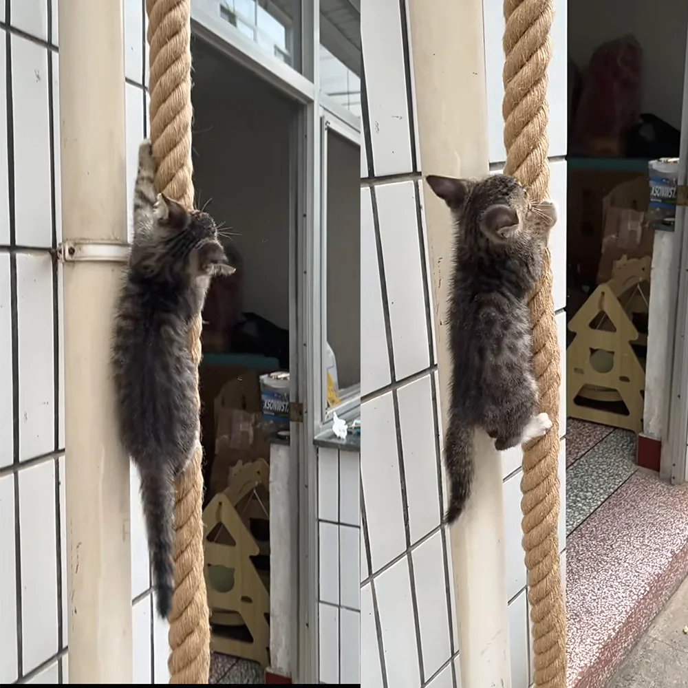 Corda de Escalada para Gatos de Juta com Gancho de 5 cm - Imagem 2