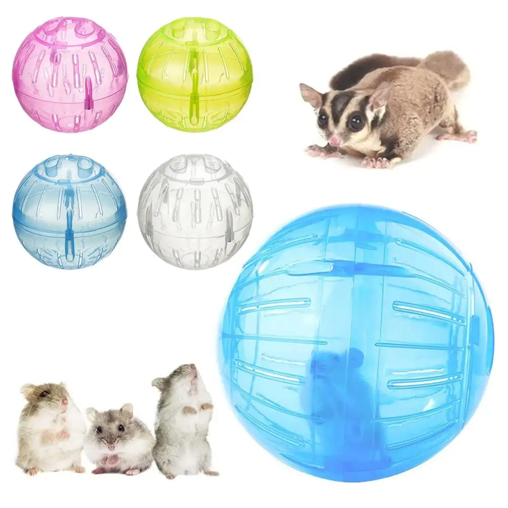 Roda de Exercício para Hamster de Acrílico Transparente 10 cm - Image 2