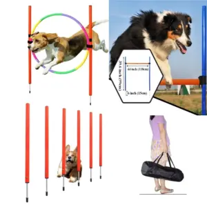 equipamento de agilidade para cães portátil