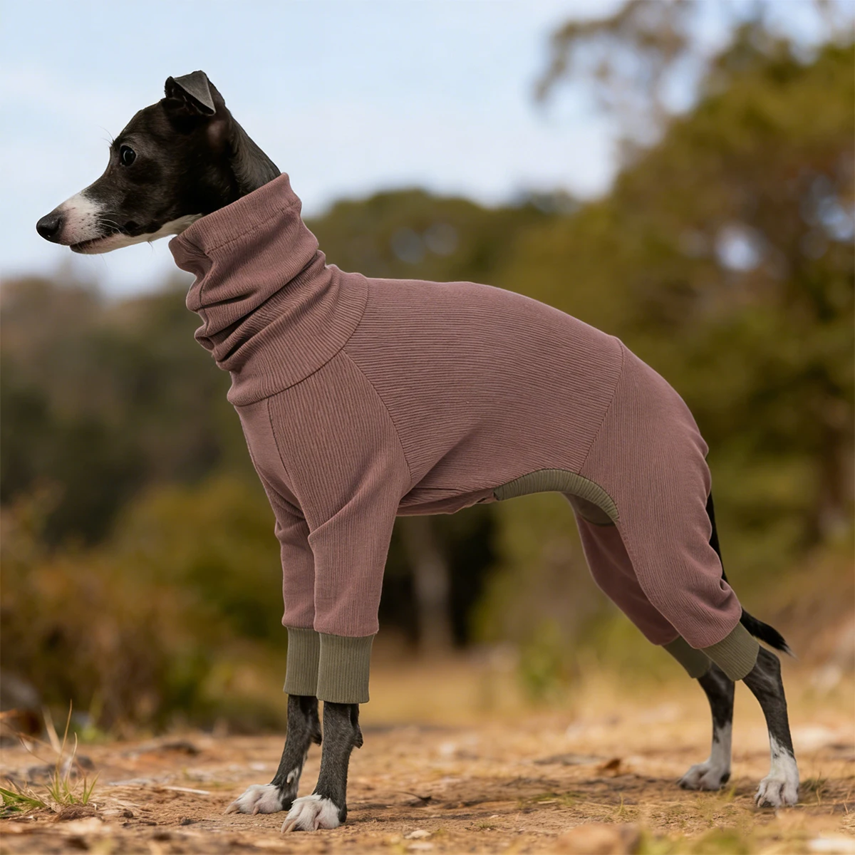 jaqueta de fleece para cães com quatro patas