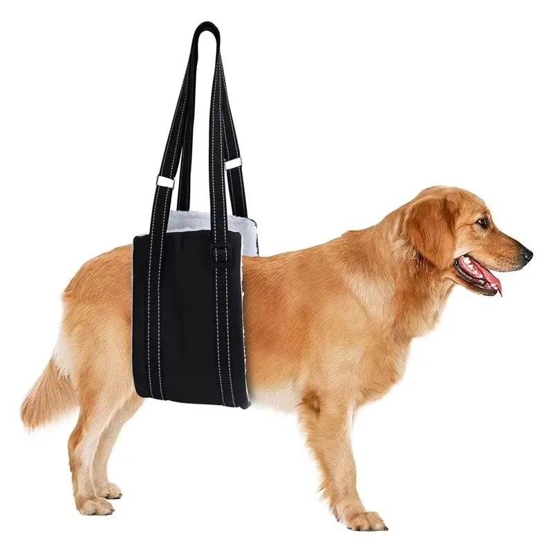 Suporte para Cães Idosos Ajustável para Pernas Traseiras - Imagem 2