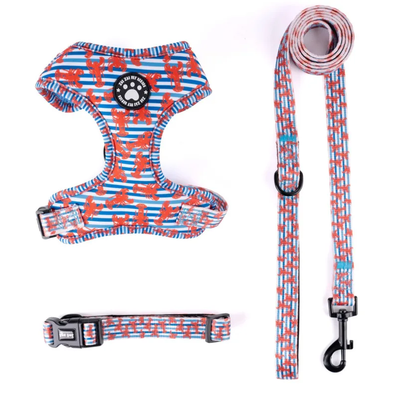 Peitoral Ajustável para Cães Pequenos e Médios com Guia para Passeio - Imagem 2