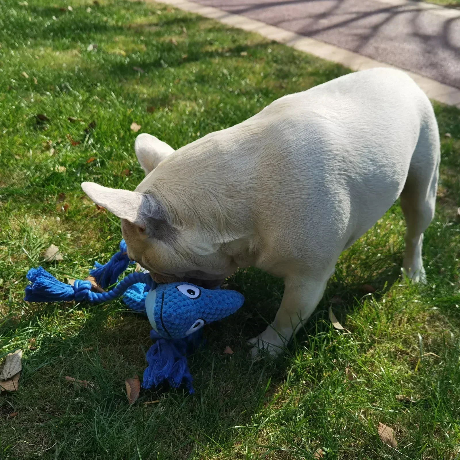 Brinquedo de Pelúcia para Cães Camaleão com Squeaker - Imagem 4