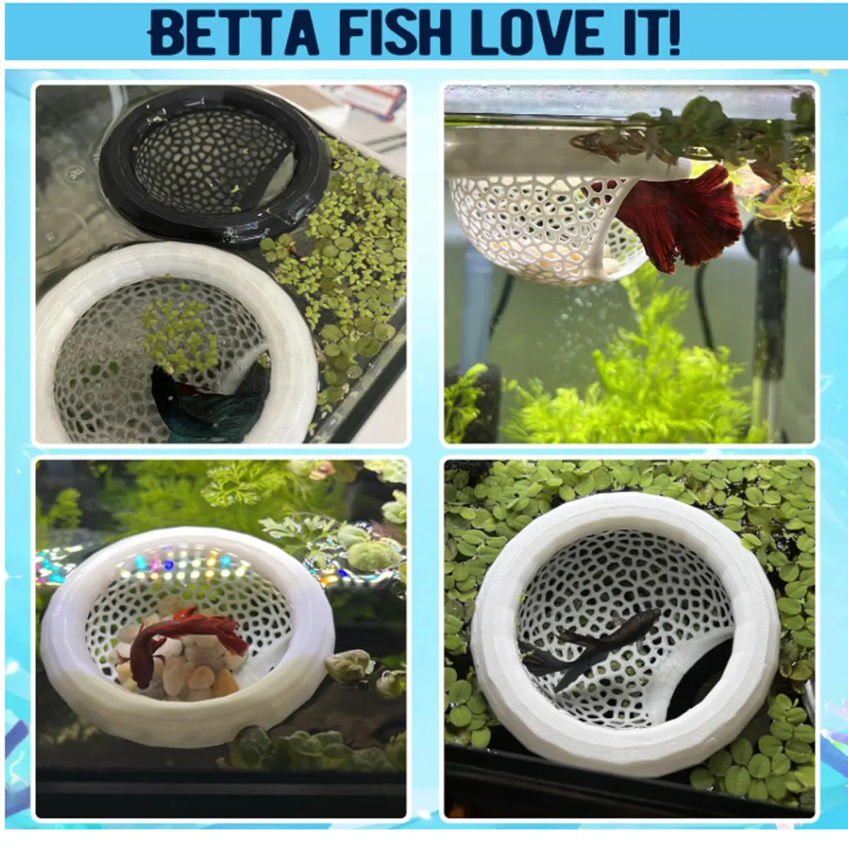 Rede Flutuante para Betta Média com Descanso Confortável - Imagem 2