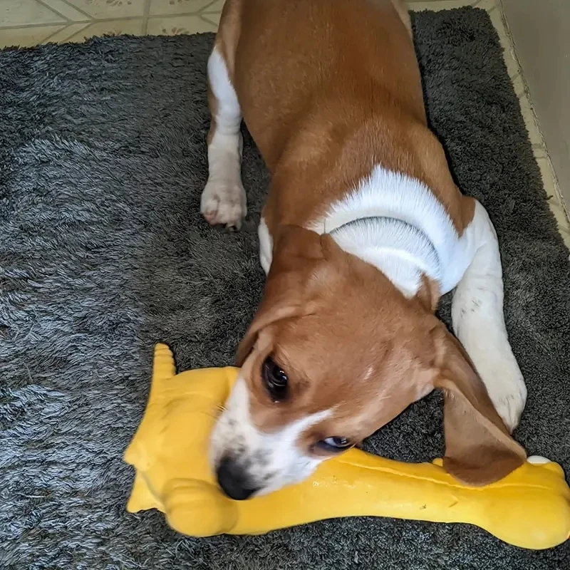 Brinquedo de Látex para Cães com Som 26 cm para Mastigar - Imagem 6