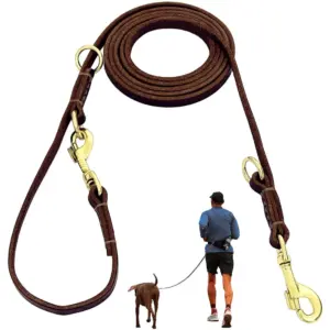 guia de couro para cães duplos