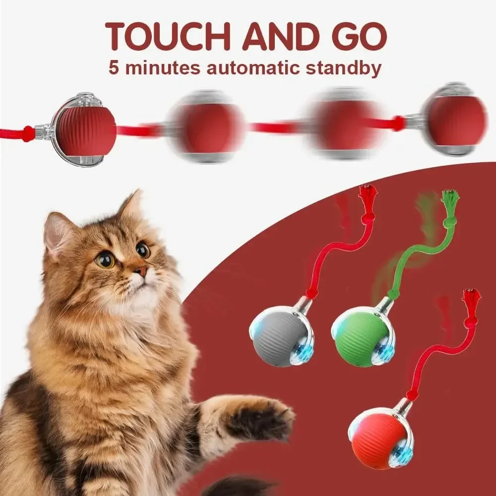 Bola Interativa para Cães e Gatos Recarregável USB com 3 Modos de Jogo - Imagem 4