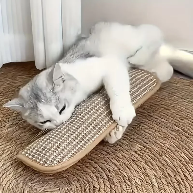 almofada arranhador para gatos