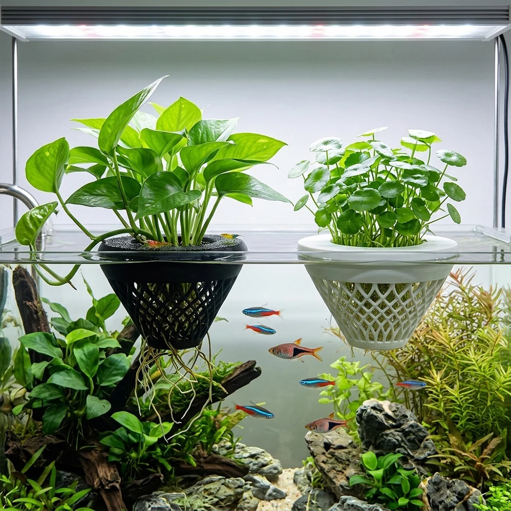 Suporte Flutuante para Plantas de Aquário com Ajuste Automático ao Nível da Água - Imagem 4
