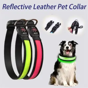coleira LED para cães recarregável