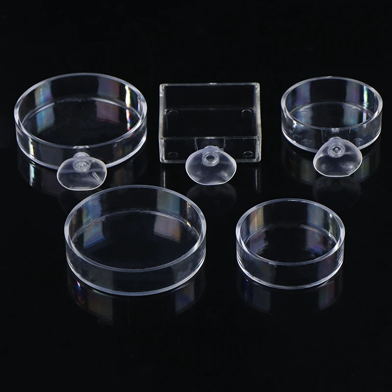 alimentador de aquário acrílico transparente