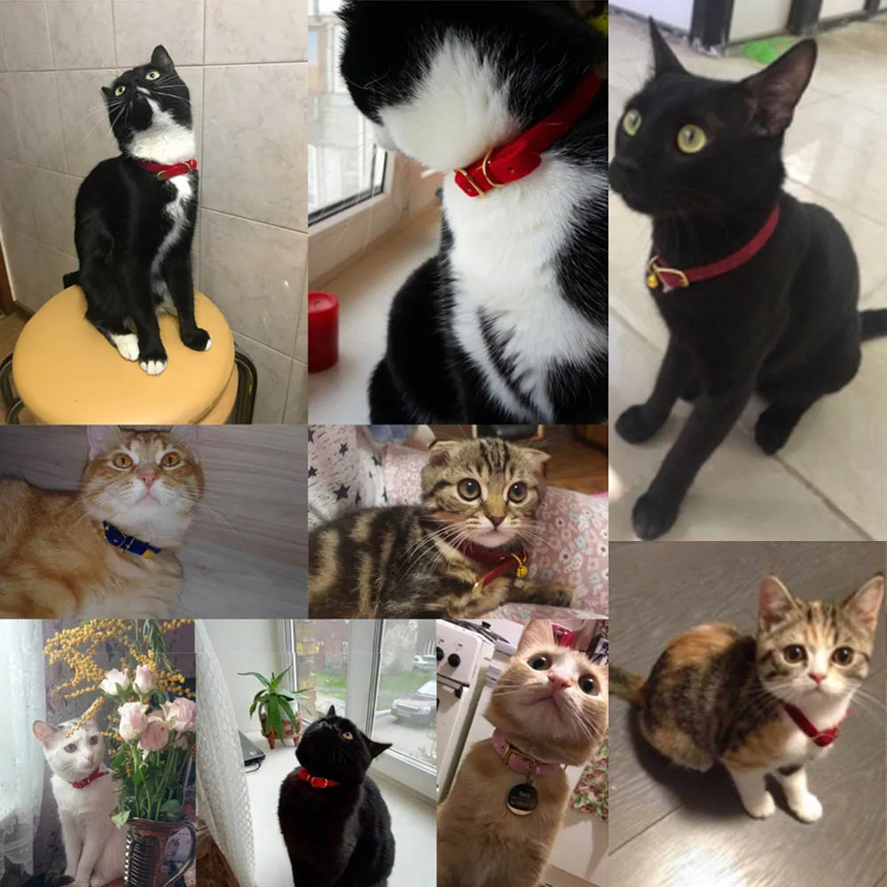 Coleira para Gatos e Cães Pequenos com Sino e Fecho de Segurança - Imagem 4