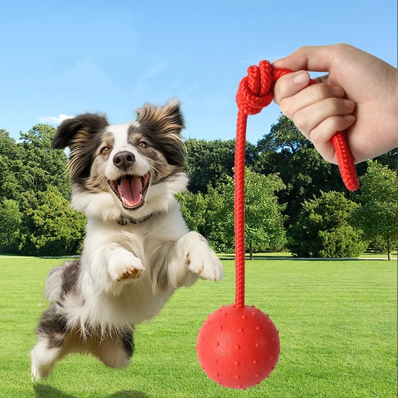 Bola de Borracha Sólida com Corda para Cães, Brinquedo de Puxar - Imagem 2
