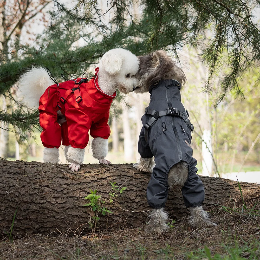 Capa de Chuva para Cães Pequenos Ajustável e Refletiva - Imagem 5