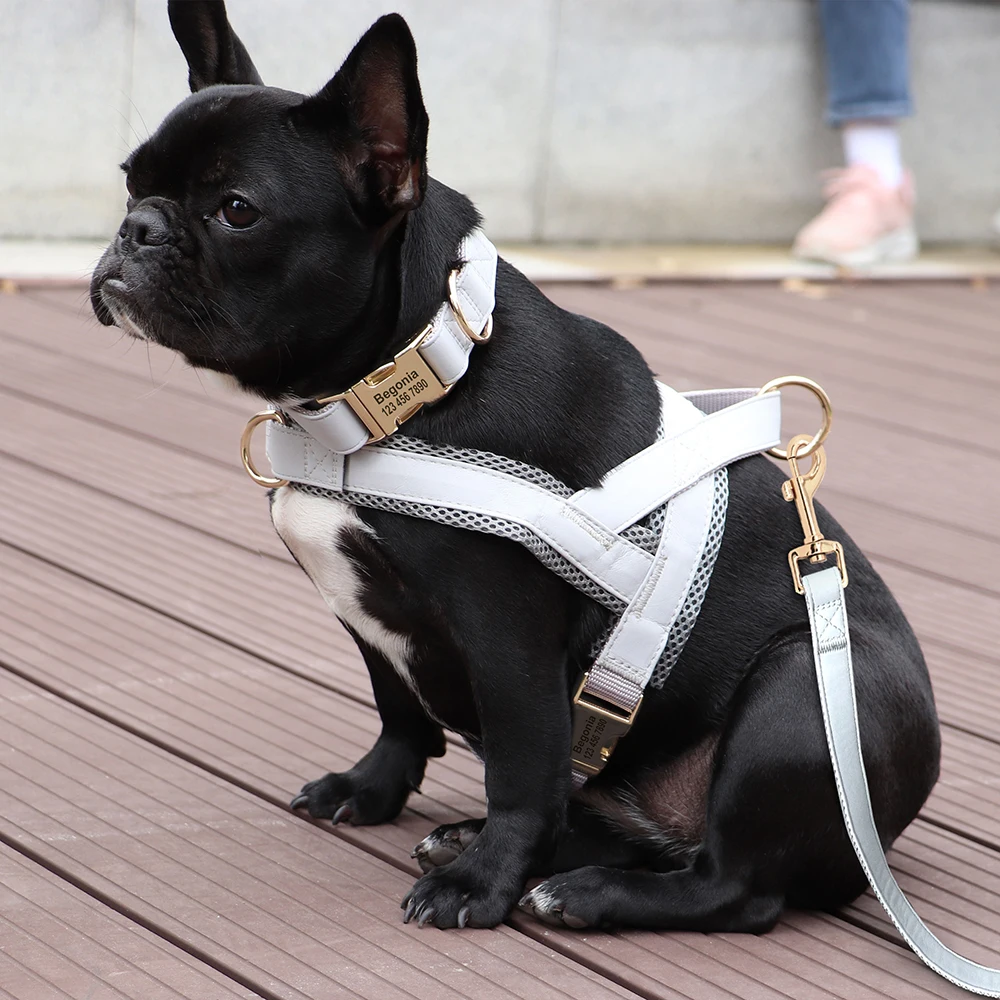 Coleira Peitoral Guia Cães Couro PU Malha com ID Personalizado - Imagem 5