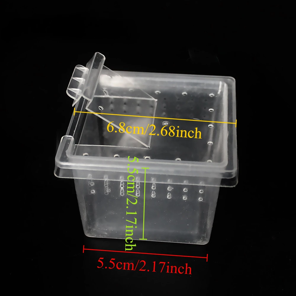 Caixa de Criação para Répteis e Insetos Transparente 6,8x6,8x4,5 cm - Imagem 6