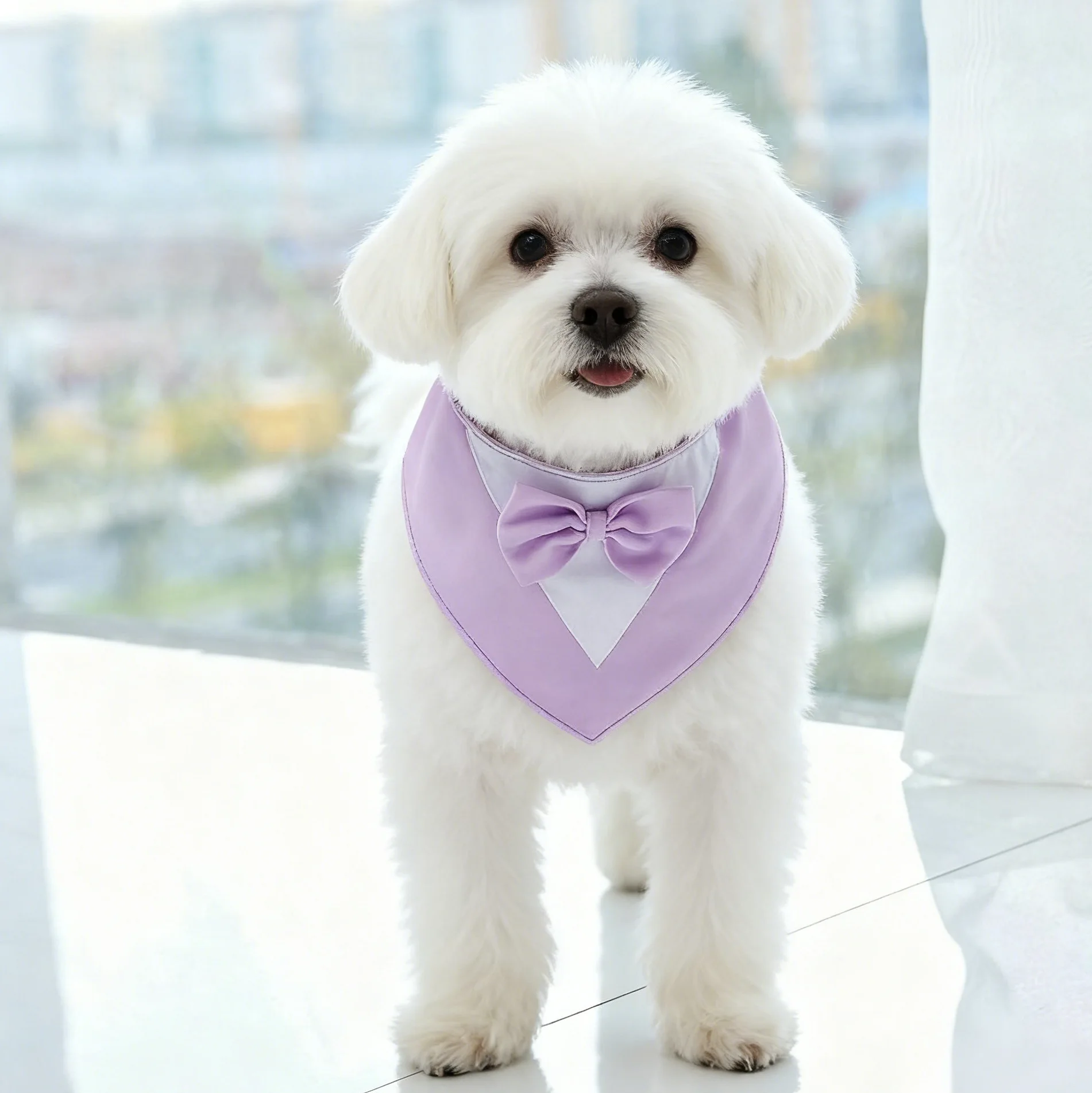 Bandana Ajustável para Cães e Gatos com Gravata Borboleta - Image 6